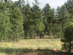 Show Low, 4.49 acres great location highway frontage on West