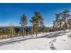 13144 Pine Country Lane, Conifer, CO 80433