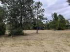 20421 NW 82ND DR, STARKE, FL 32091 Land For Sale MLS# 1200242