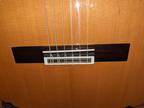 Pavan TP-20-AC ** All solid Wood ** Classical Guitar with 50 MM nut