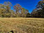 8.8 ACRES OLD JACKSON RD, Unincorporated, TN 38068 Land For Sale MLS# 10138763