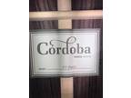 Cordoba F7 Paco Full Size Rosewood Solid Top Flamenco Nylon Acoustic Guitar