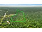 00 COUNTY ROAD 889, Evadale, TX 77612 Land For Sale MLS# 238230