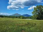 00 BERRY LN, Thaxton, VA 24174 Land For Sale MLS# 897402