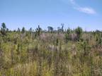 000 HENRY THURMAN ROAD, New Hebron, MS 39114 Land For Sale MLS# 137908
