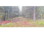 129 PRICE LOOP LOT 48, Cascade, ID 83611 Land For Sale MLS# 98882364