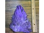 Dyed Colors of Whole India Hen Back Saddle Feathers Fly Tying Jewelry Crafts