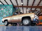 1981 Chevrolet C/K 10 Series C10 - Mustang, OK