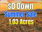 1.03 Acres for Sale in Elko, NV