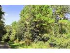 Escape to Tranquility: Wooded Lot in Secluded Dayton, TX - Lot 11 Timberline &