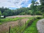 00 LAKE ADGER ROAD, Mill Spring, NC 28756 Farm For Sale MLS# 4052852