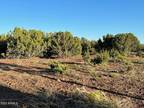 Plot For Sale In Vernon, Arizona