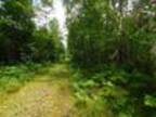 Walesh Rd Lot 0 Silver Cliff, WI