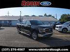 2023 Ford F-150 Black, 11 miles