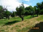 5781 COUNTY ROAD 309, Parachute, CO 81635 Single Family Residence For Sale MLS#