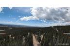 171 BUM DR, Fairplay, CO 80440 Land For Sale MLS# 9047248