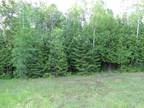 Rogers City, Nicely wooded 6.95 acres with Trout River