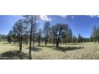 Plot For Sale In Flagstaff, Arizona