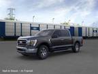 2023 Ford F-150 Black, new