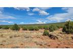 1.17 Acres for Rent in Concho, AZ
