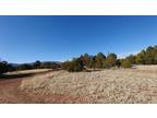 1 Acre for Rent in Moriarty, NM