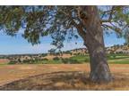 0 16710 GREILICH, Plymouth, CA 95669 Agriculture For Rent MLS# 223038954