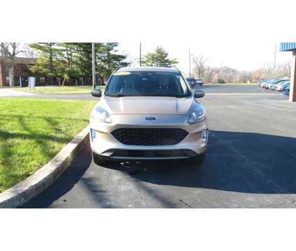 2020UsedFordUsedEscapeUsedAWD is a Gold 2020 Ford Escape Car for Sale in Clinton IL