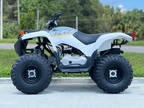 2024 Yamaha Grizzly 90