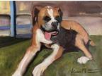 Original Boxer Dog Impressionist Realism Painting Signed Liam 9x12