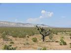 1.56 Acres for Rent in Mojave, CA