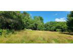 46 WESTERVELT RD, Cochecton, NY 12726 Land For Sale MLS# H6264186