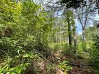 00 CHIPLEY HIGHWAY, Pine Mountain, GA 31822 Land For Sale MLS# 10189104