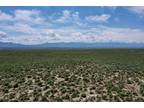 40 Acres for Sale in Montello, NV
