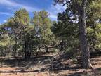 0.24 ACRE PORTION OF LOT 70, Tres Piedras, NM 87577 Land For Sale MLS# 202338852