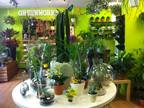 Business For Sale: Profitable Upscale Floral & Plant Design Studio