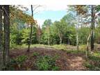 Plot For Sale In Dummer, New Hampshire