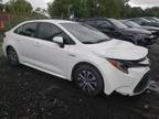Salvage 2021 Toyota Corolla le Hybrid for Sale