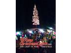 Business For Sale: Christmas Light Business For Sale
