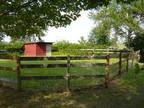 Business For Sale: Small Hobby Farm For Sale - Opportunity!