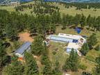 654 TESS TRACE RD, Guffey, CO 80820 Single Family Residence For Sale MLS#