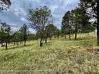200 MEADOWS DR, Ruidoso, NM 88345 Land For Sale MLS# 129863
