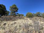 0.67 Acres for Rent in Cloudcroft, NM
