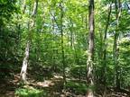 Plot For Sale In Springfield, Vermont