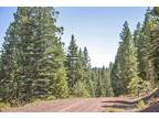 California Forest Land 1 Acre, Tall Pines, Valley Views