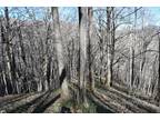 TBD ROARING CREEK ROAD, Newland, NC 28609 Land For Sale MLS# 3852734