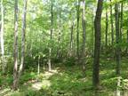 Plot For Sale In Plymouth, Vermont