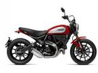 2023 Ducati Scrambler Icon Motorcycle for Sale