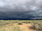 000 N GILAMONSTER ROAD, Tonto Basin, AZ 85553 Land For Sale MLS# 6561922