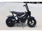 2023 Drift Hero 250w Youth Mini Bike