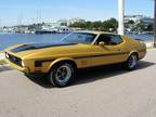 Ford Mustang Mach ITribute